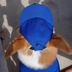 Dog Hat - Adjustable Dog Hat with Ear Holes