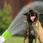Portable Silicone Pet Shower Head
