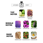 Inspired by Scent - Discovery Set – 5 Bestselling Parfums