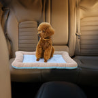 Cooling Pet Mats - Dogs & Cats Ice Silk, Breathable Soft Summer Pads