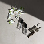 UpCircle - Flaura + Santelle Eau De Parfum Sample Vials