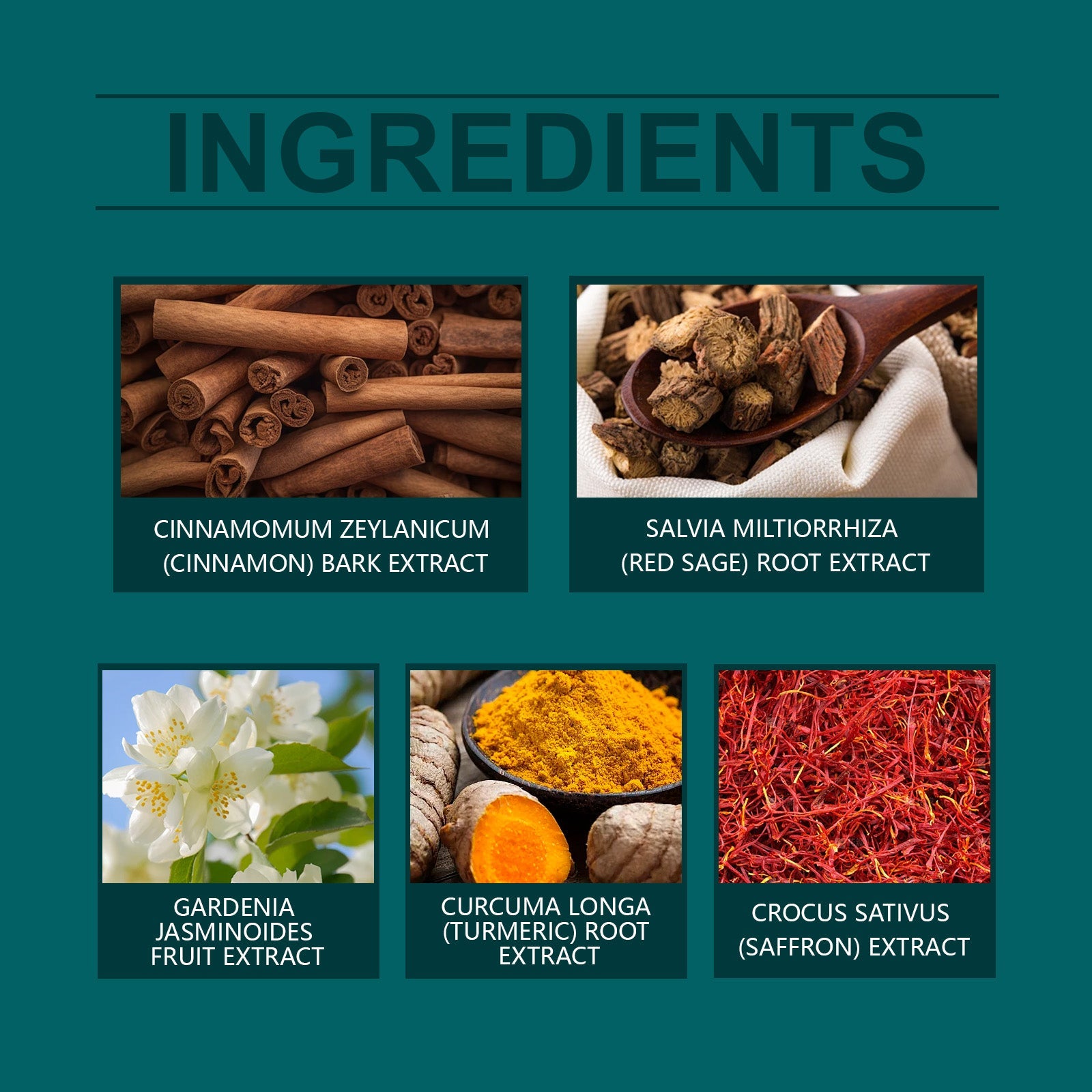 XiMonth - Herbal Foot Detox Ball