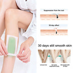 Eelhoe- Full Body Hair Removal Wax Strips