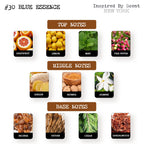 Inspired by Scent - #30 Blue Essence Parfum