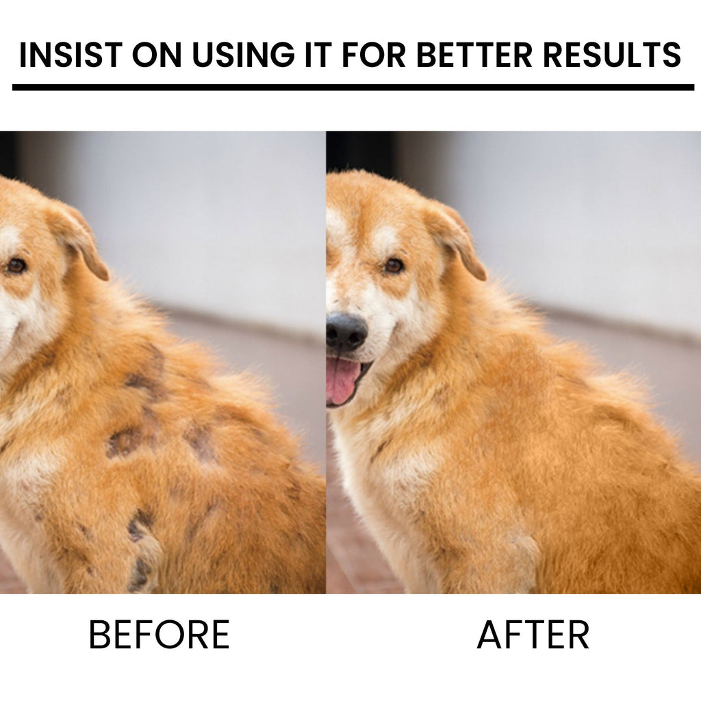 Yegbong - Pet Hair Regrowth Spray for Cats and Dogs