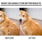 Yegbong - Pet Hair Regrowth Spray for Cats and Dogs