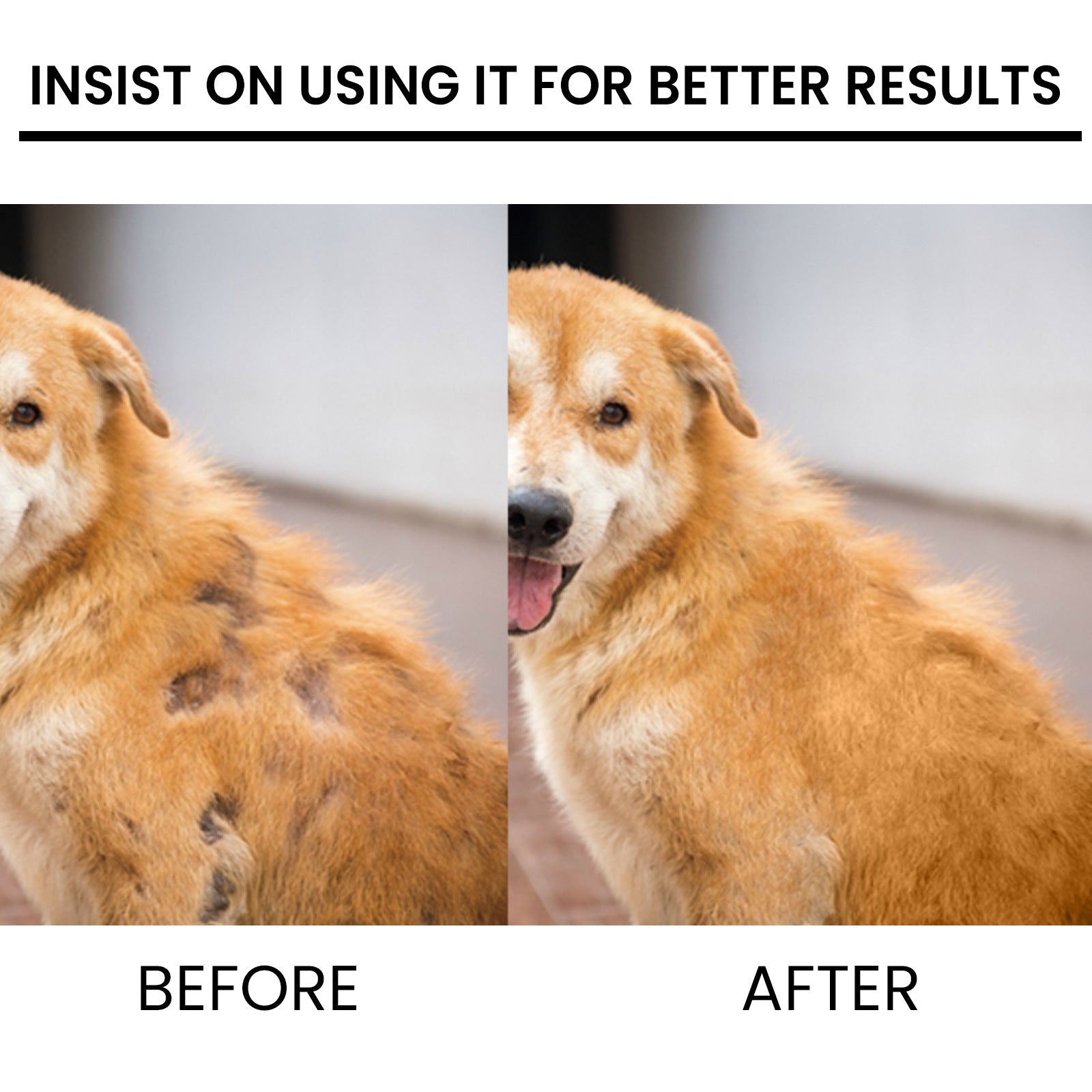 Yegbong - Pet Hair Regrowth Spray for Cats and Dogs