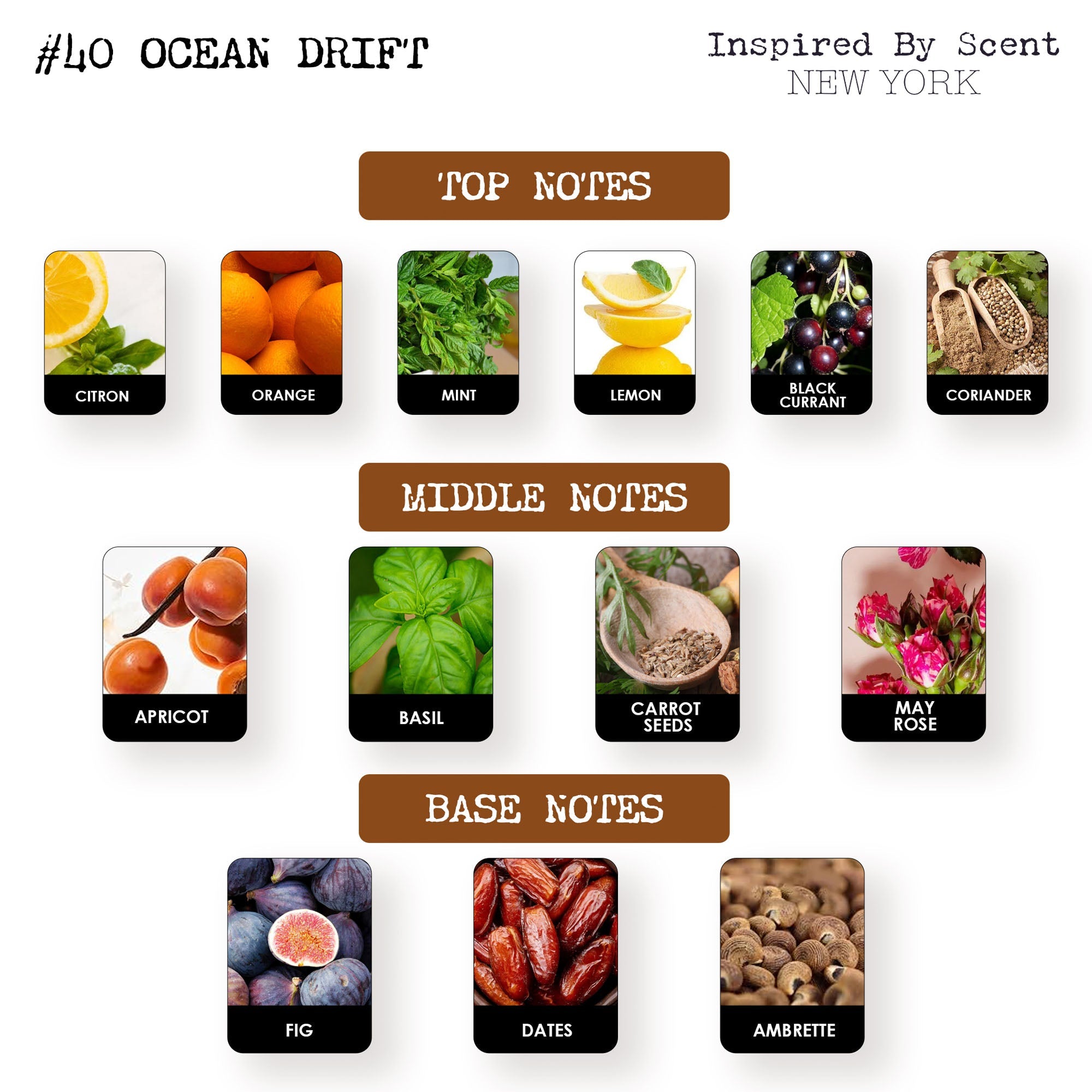 Inspired by Scent - #40 Ocean Drift Parfum