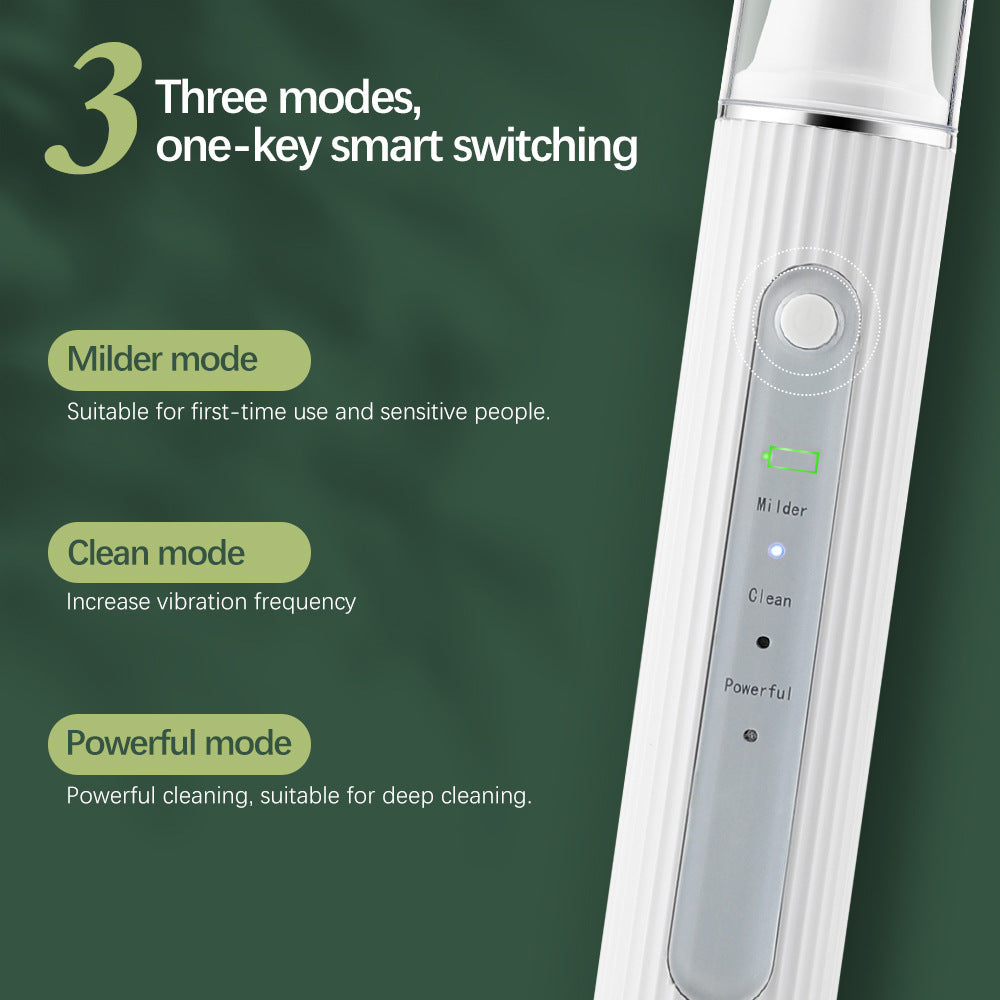 Dental Tools - 3-Speed Visible Ultrasonic Electric Tooth Cleaner