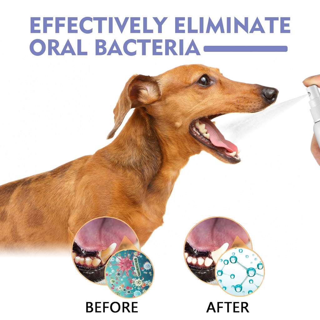 Yegbong - Oral Spray For Dogs & Cats