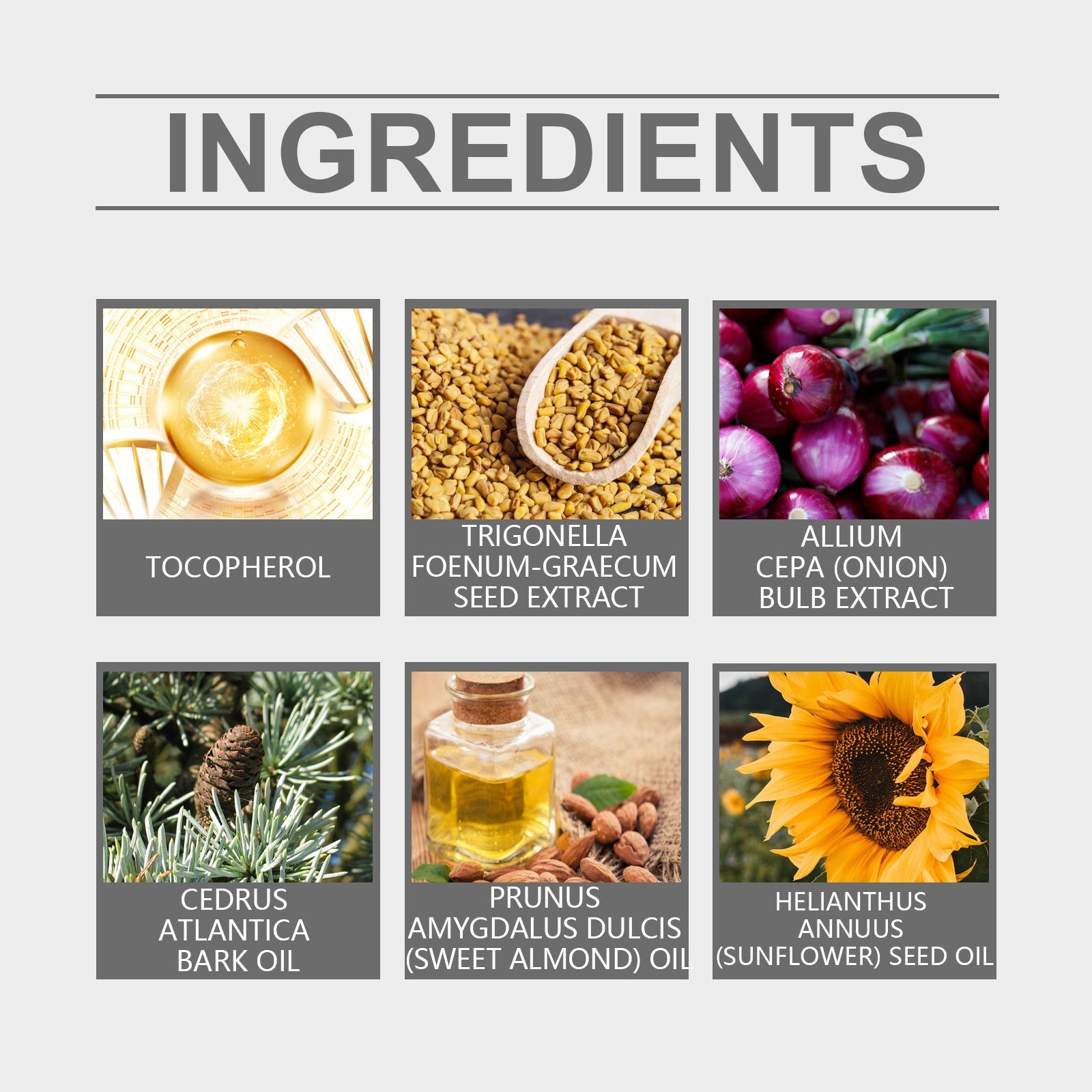 Hoegoa - Onion Hair Oil