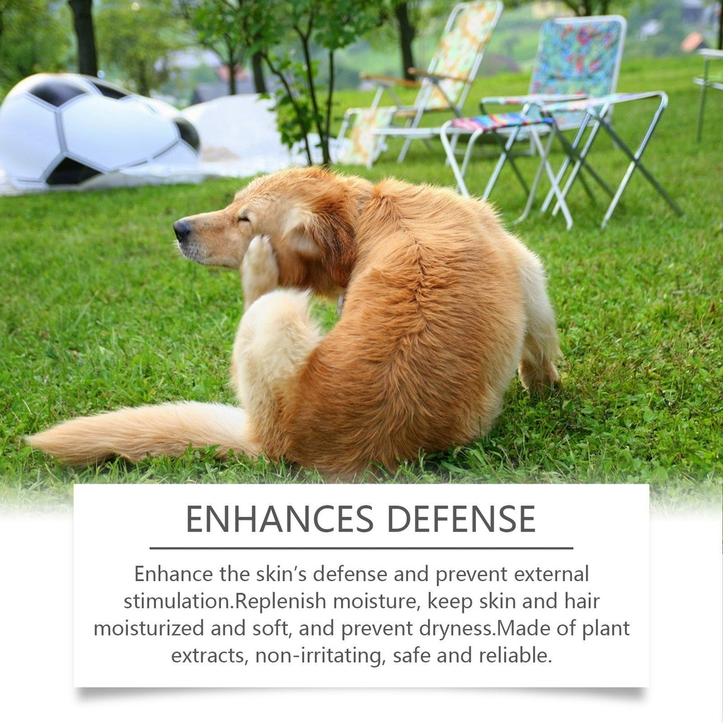 Yegbong - Anti Itch Shampoo For Dogs