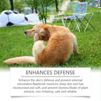 Yegbong - Anti Itch Shampoo For Dogs