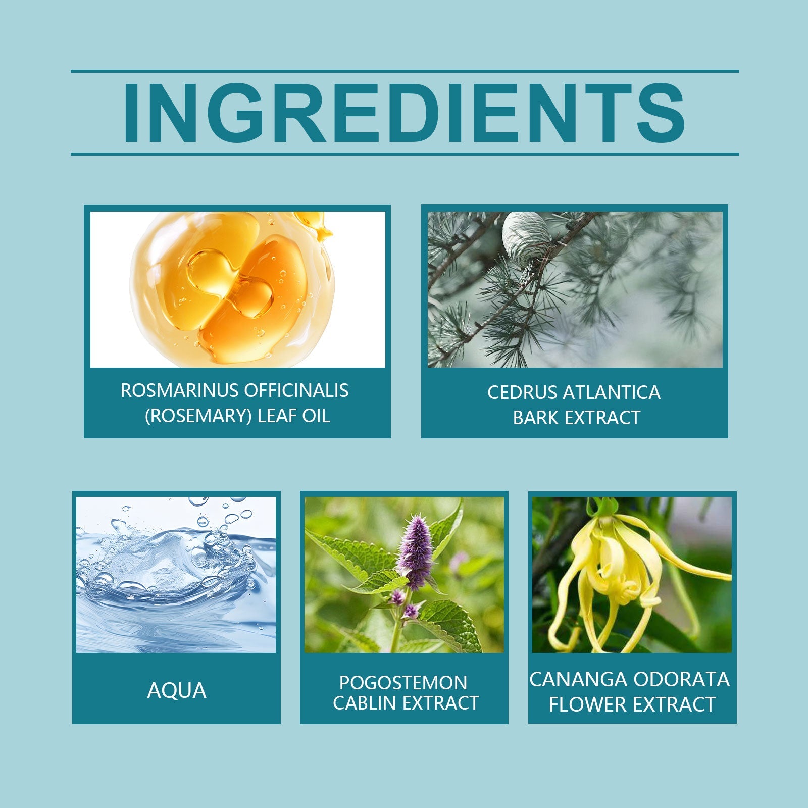 Roxelis - Secluded Cedar Cologne