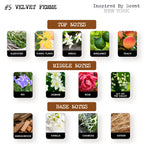 Inspired by Scent - #5 Velvet Femme Parfum