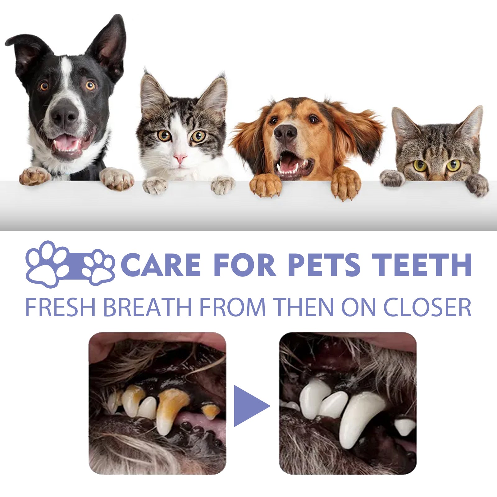 Yegbong - Oral Spray For Dogs & Cats