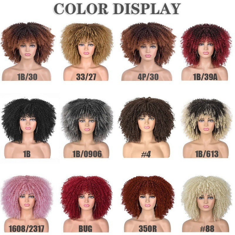 Multi Colored - Small Curly Synthetic Chemical Fiber Wig Full Head Set