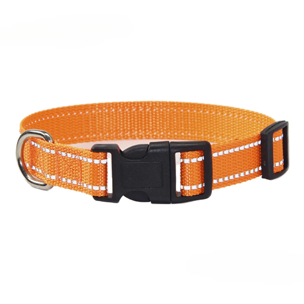 Pet Accessories Set - Nylon Dog Collar and Leash Set