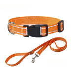 Pet Accessories Set - Nylon Dog Collar and Leash Set