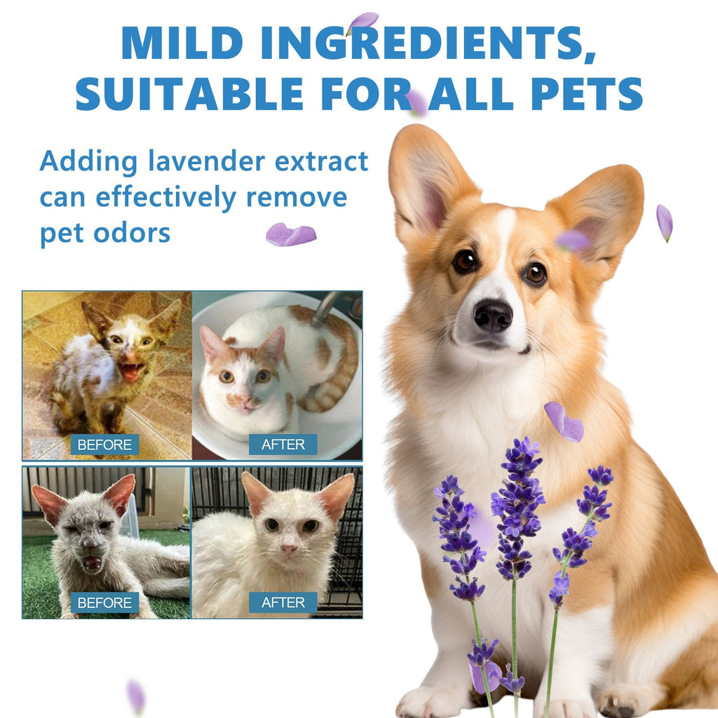 Yegbong - Wash Free Pet No-Rinse Care Odor Essence for Cats and Dogs