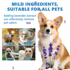 Yegbong - Wash Free Pet No-Rinse Care Odor Essence for Cats and Dogs