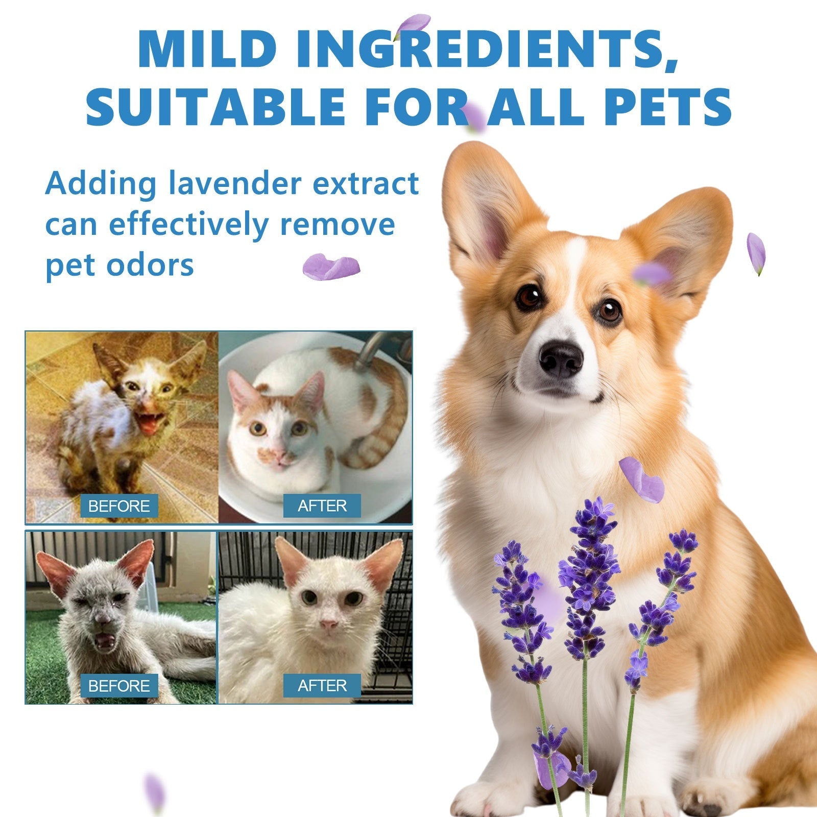 Yegbong - Wash Free Pet No-Rinse Care Odor Essence for Cats and Dogs