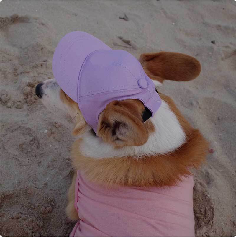 Dog Hat - Adjustable Dog Hat with Ear Holes