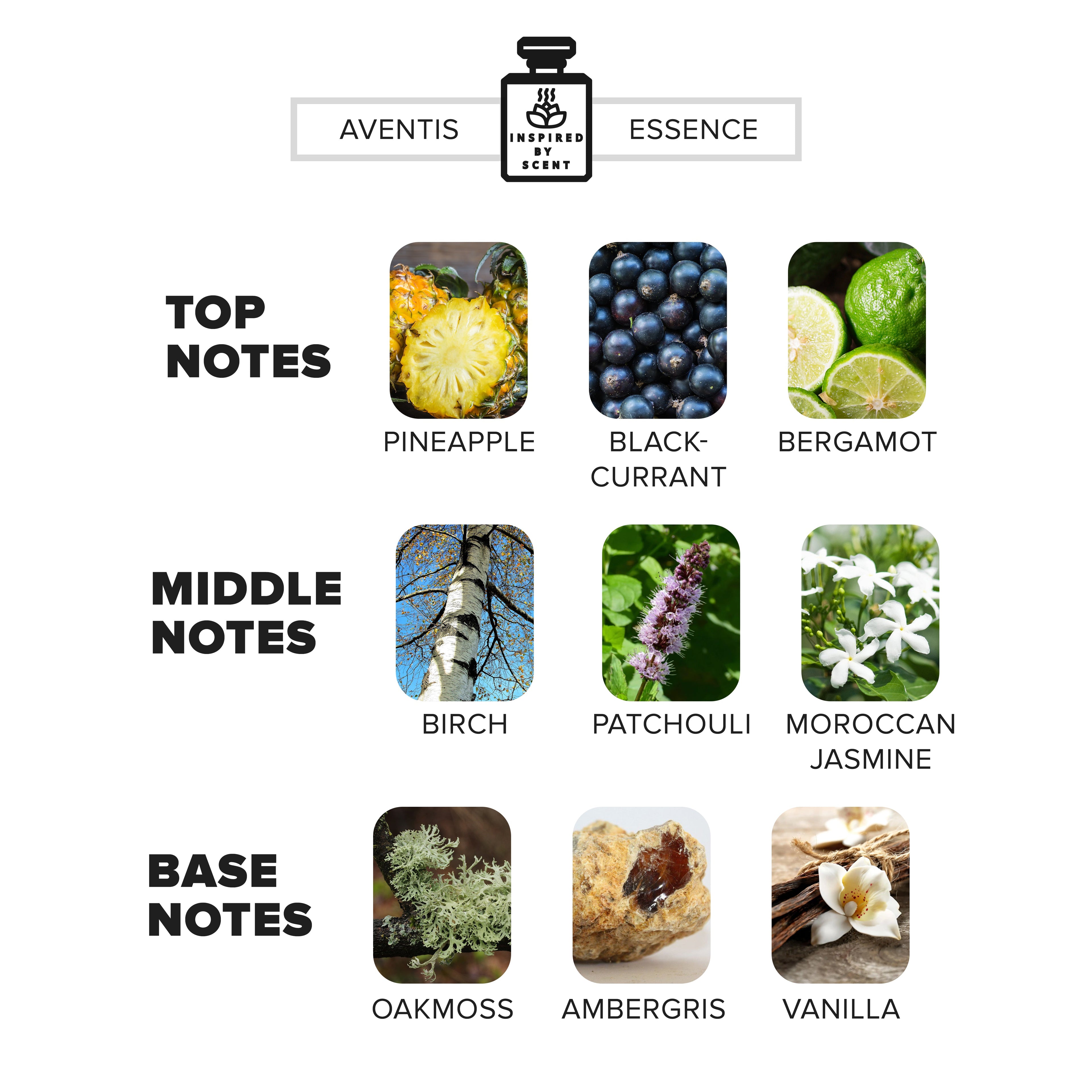 Inspired by Scent - Discovery Set – 5 Bestselling Parfums