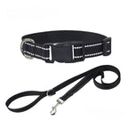 Pet Accessories Set - Nylon Dog Collar and Leash Set