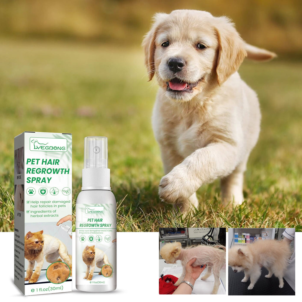 Yegbong - Pet Hair Regrowth Spray for Cats and Dogs