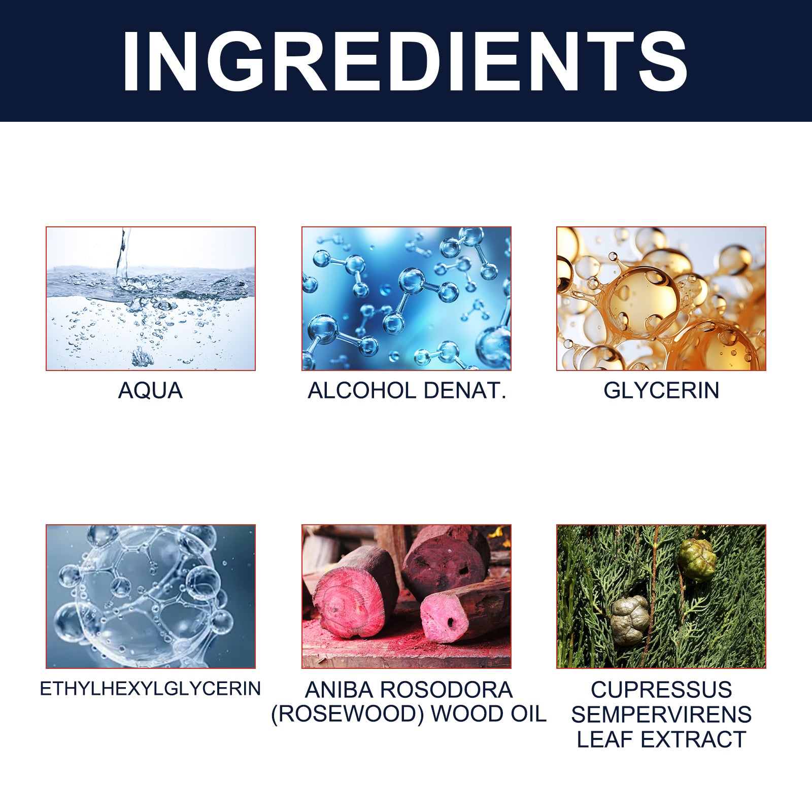 East Moon - Alluring Cologne