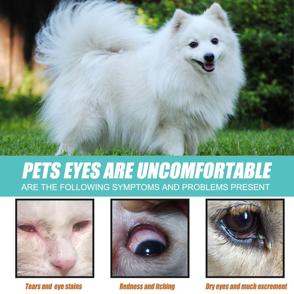 Yegbong - Lacrimal Gland Fluid (Tear Duct Serum) For Dogs & Cats