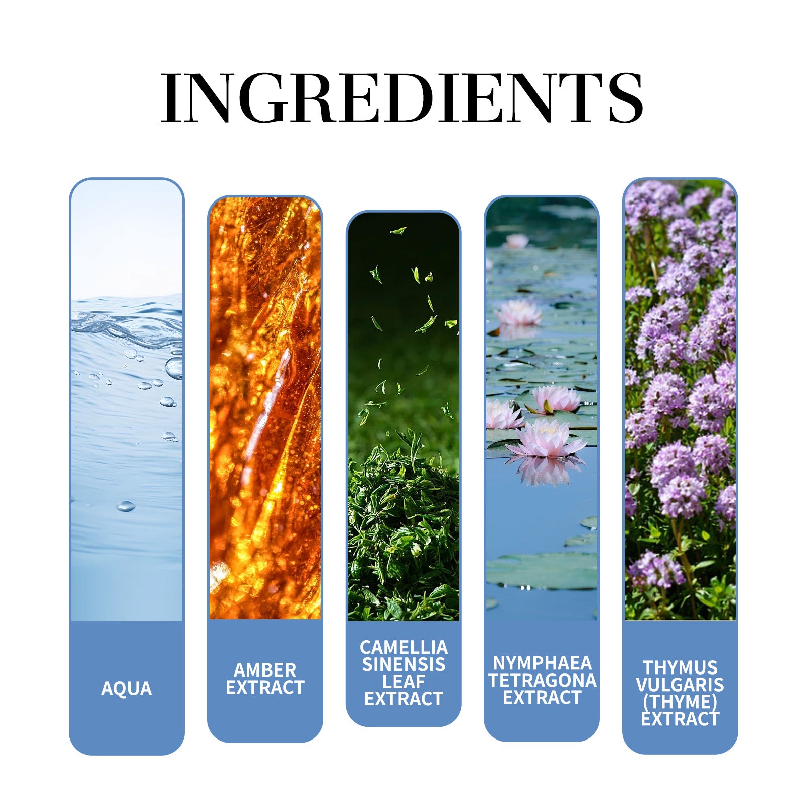 Roxelis - Magnet Charming Cologne