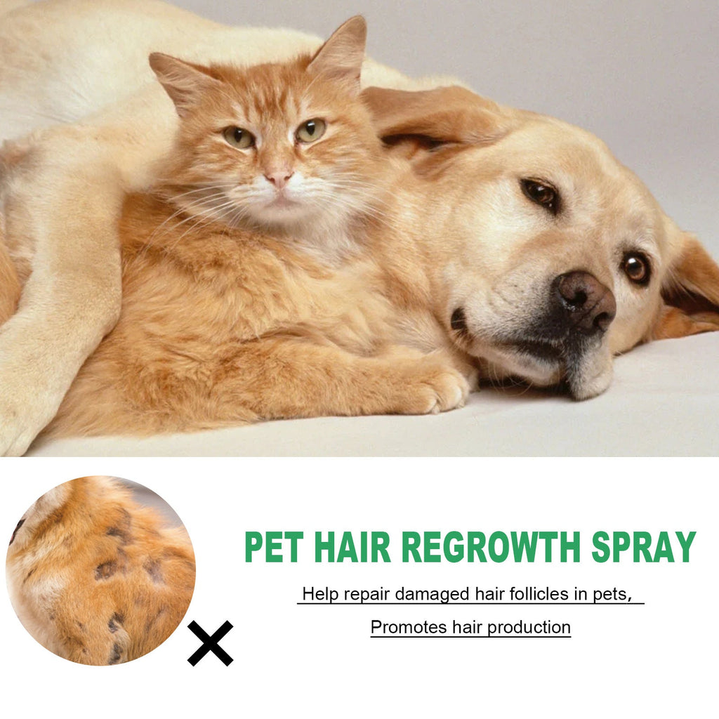 Yegbong - Pet Hair Regrowth Spray for Cats and Dogs