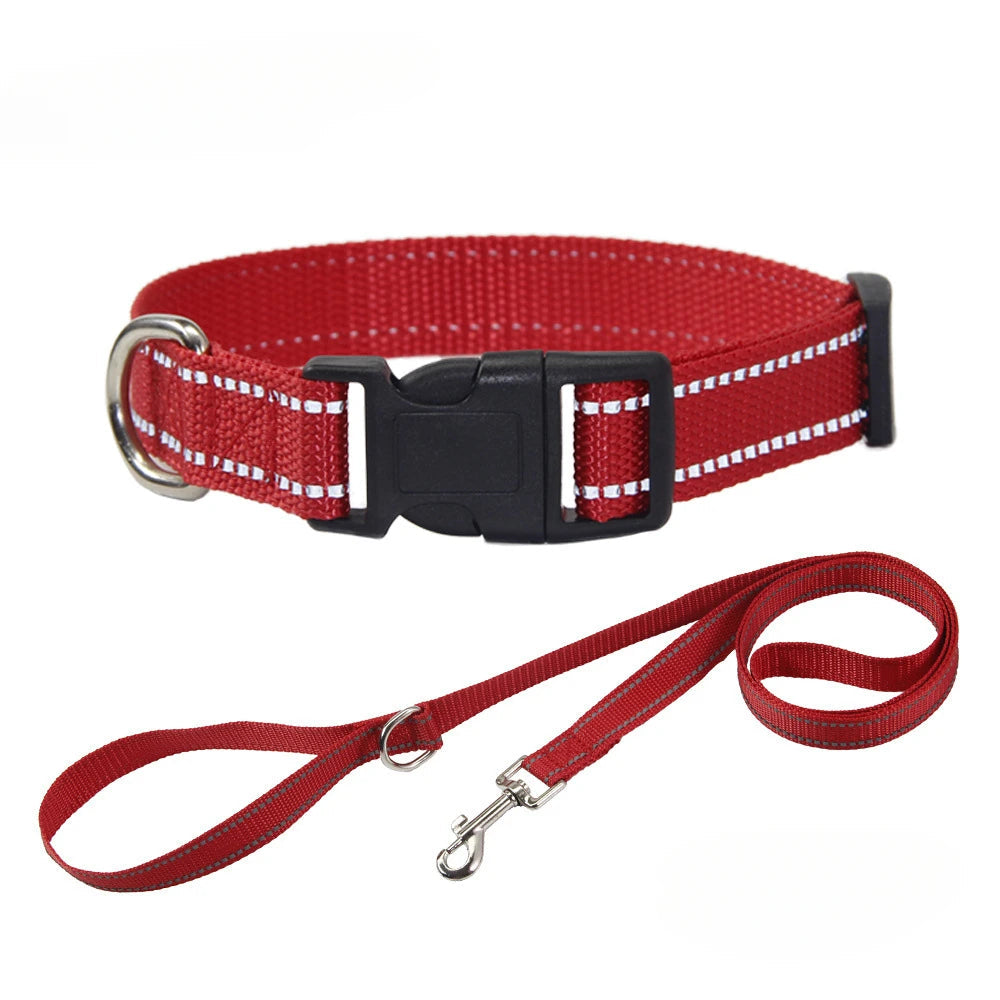 Pet Accessories Set - Nylon Dog Collar and Leash Set