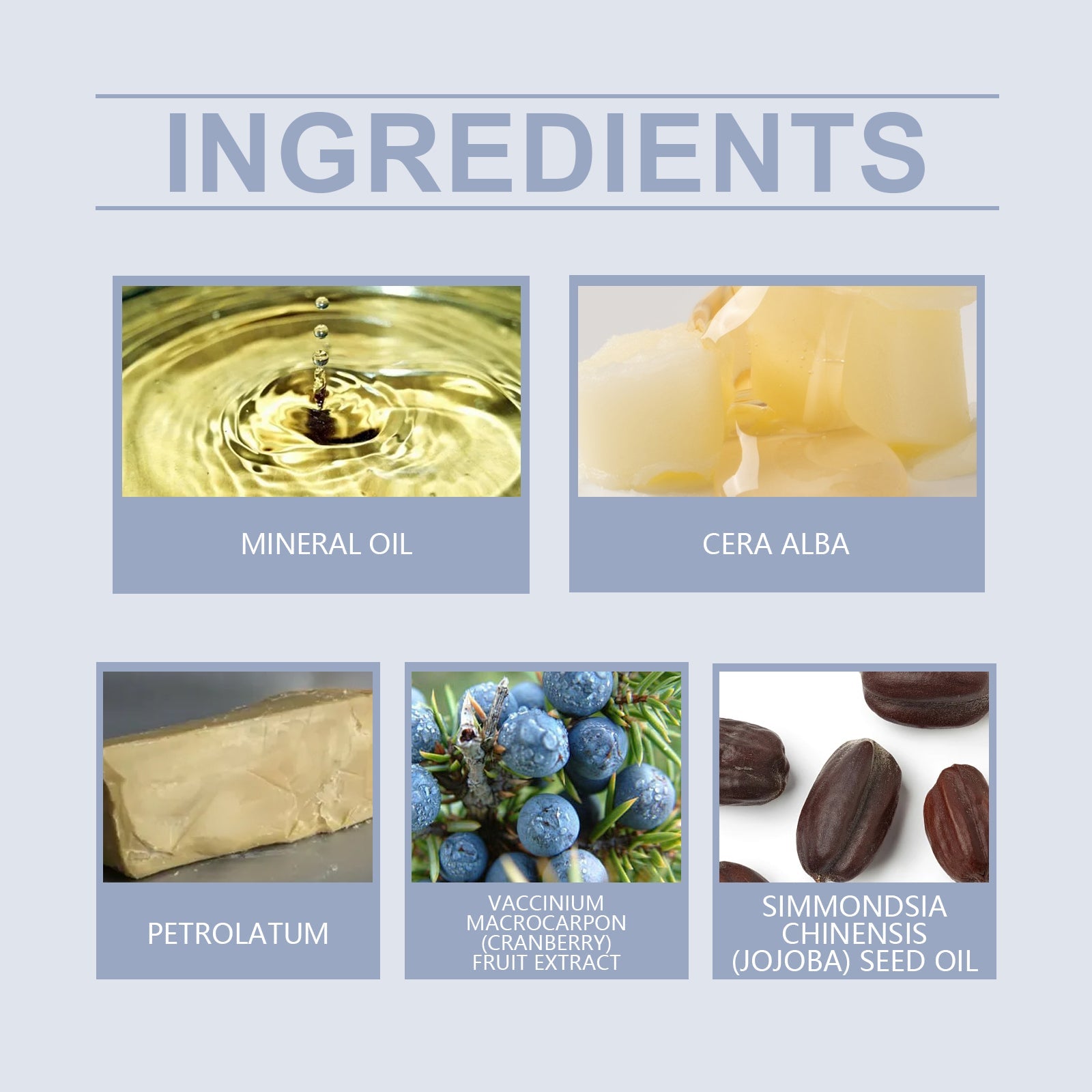 West Month - Blueberry Moisturizing Lip Mask