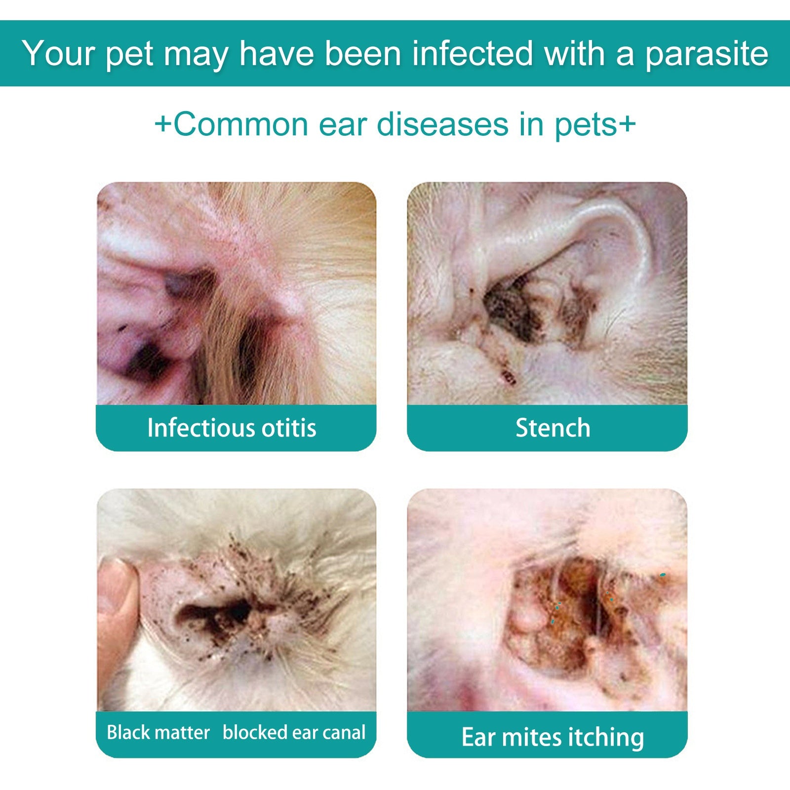 Yegbong - Pet Ear Cleansing Oil for Cats and Dogs