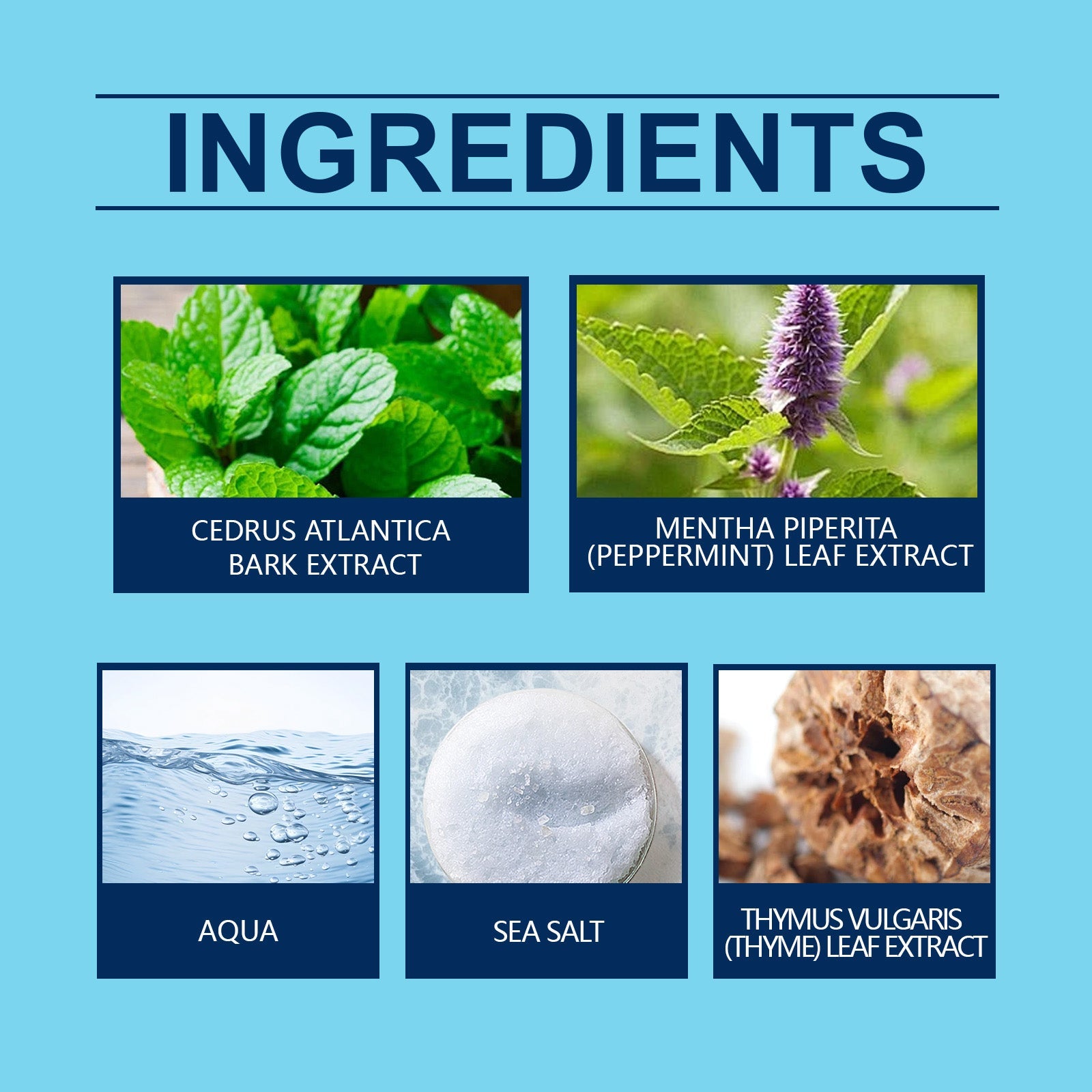 Roxelis - Ocean Man Cologne