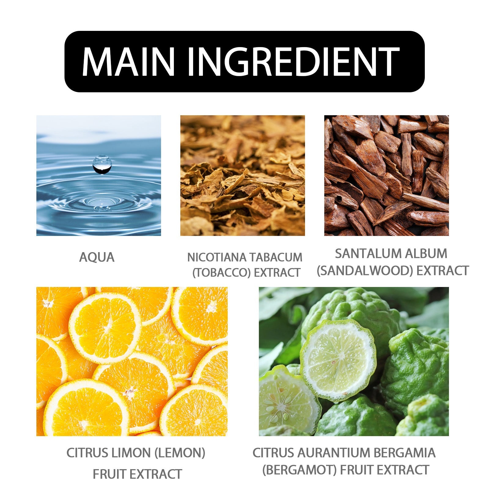 Roxelis - Neutral Woody Perfume