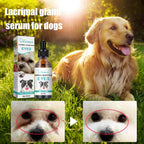 Yegbong - Lacrimal Gland Fluid (Tear Duct Serum) For Dogs & Cats