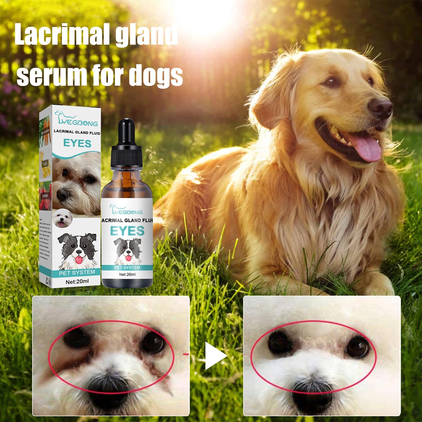 Yegbong - Lacrimal Gland Fluid (Tear Duct Serum) For Dogs & Cats