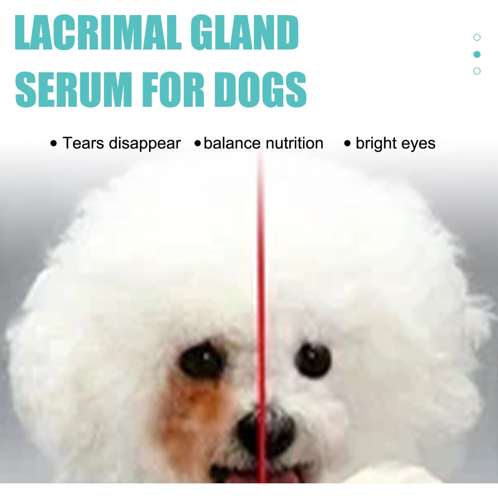 Yegbong - Lacrimal Gland Fluid (Tear Duct Serum) For Dogs & Cats
