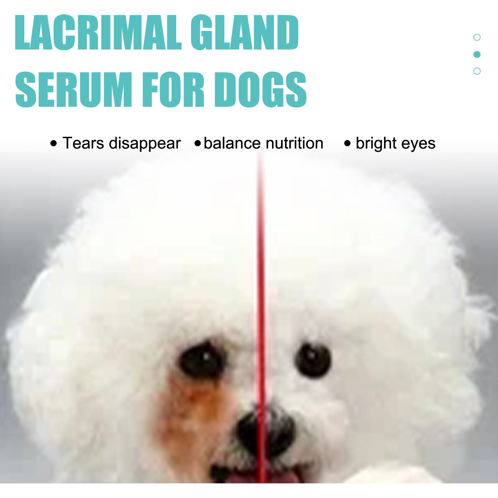 Yegbong - Lacrimal Gland Fluid (Tear Duct Serum) For Dogs & Cats