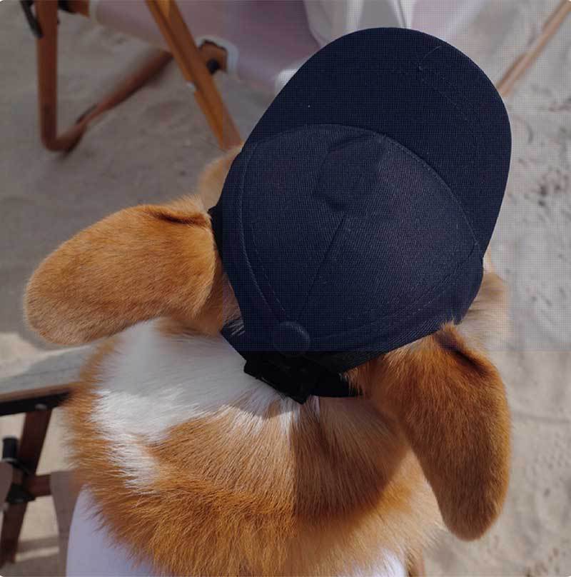 Dog Hat - Adjustable Dog Hat with Ear Holes