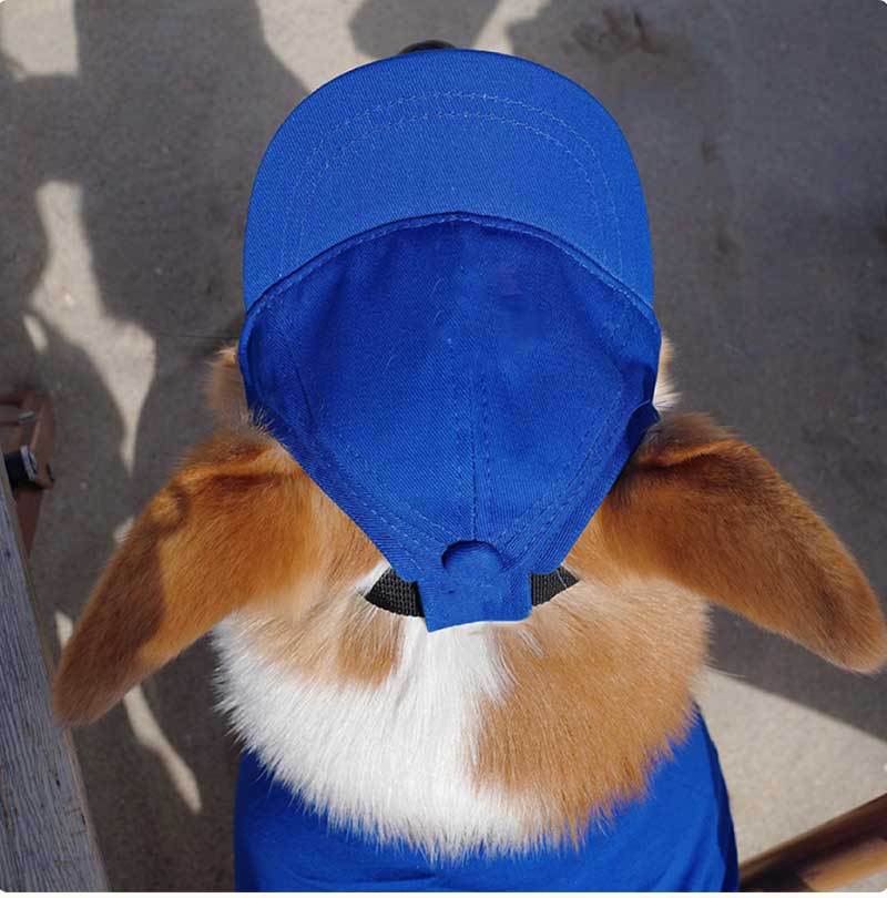 Dog Hat - Adjustable Dog Hat with Ear Holes