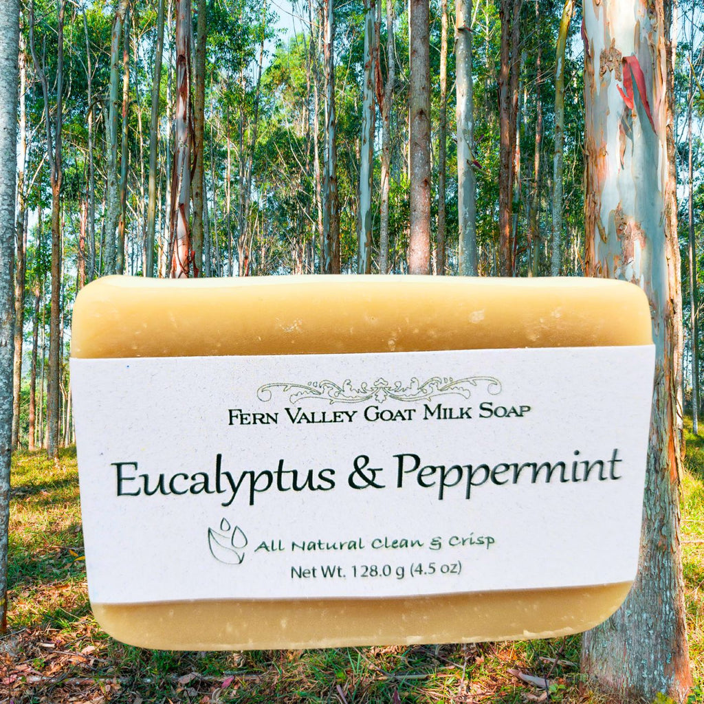 Fern Valley - Handmade Goat Milk All Natural Eucalyptus & Peppermint Soap