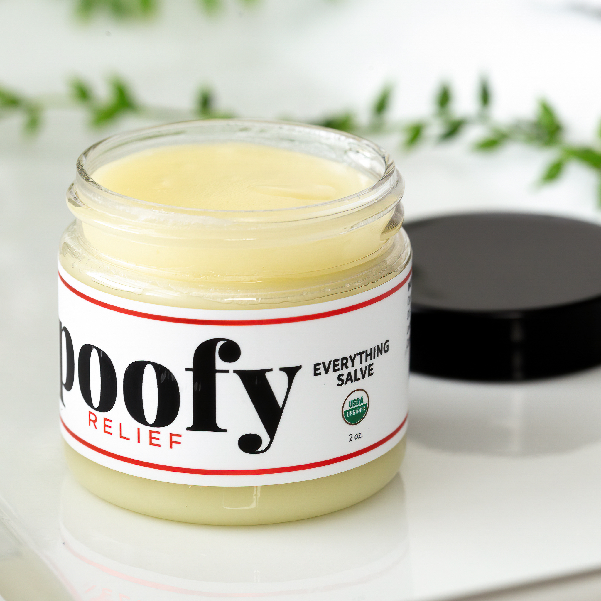 Poofy Organics - Everything Salve Organic
