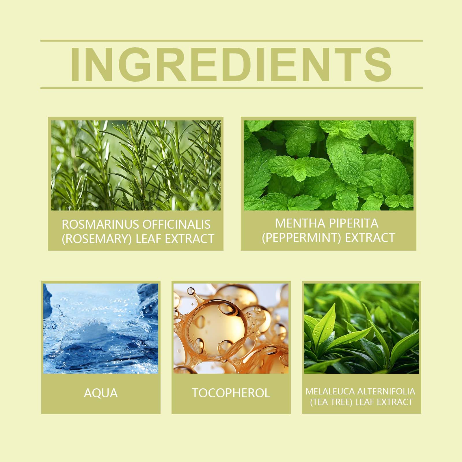 Hoegoa - Rosemary Water Hair Care Spray