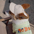 Dog Hat - Adjustable Dog Hat with Ear Holes