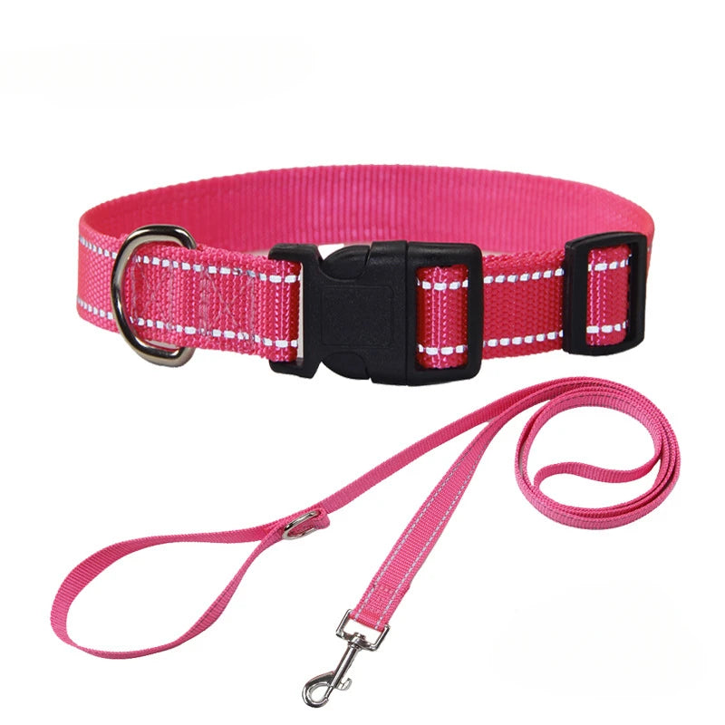 Pet Accessories Set - Nylon Dog Collar and Leash Set